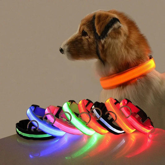 USB Rechargeable Dog LED Collar